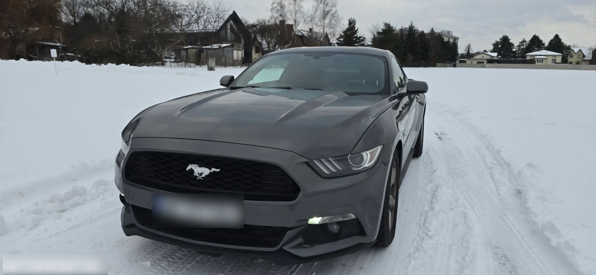 Ford Mustang - 317 CH