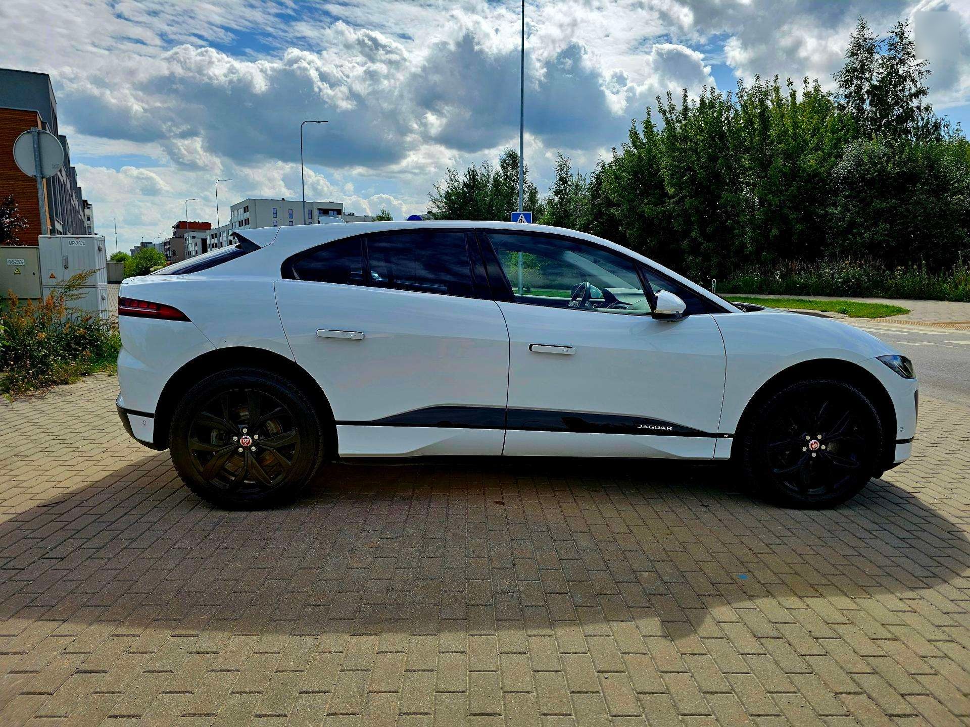 Vue 3