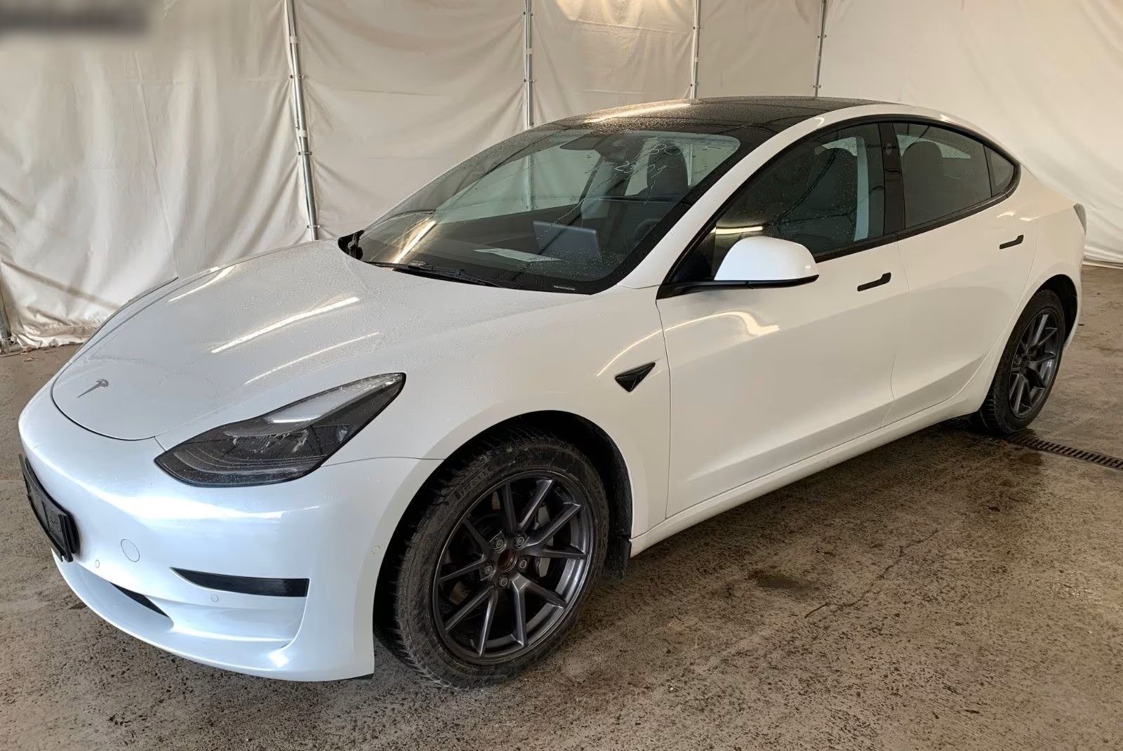 Tesla Model 3 - 325 CH - Tesla Model 3 - SYC75