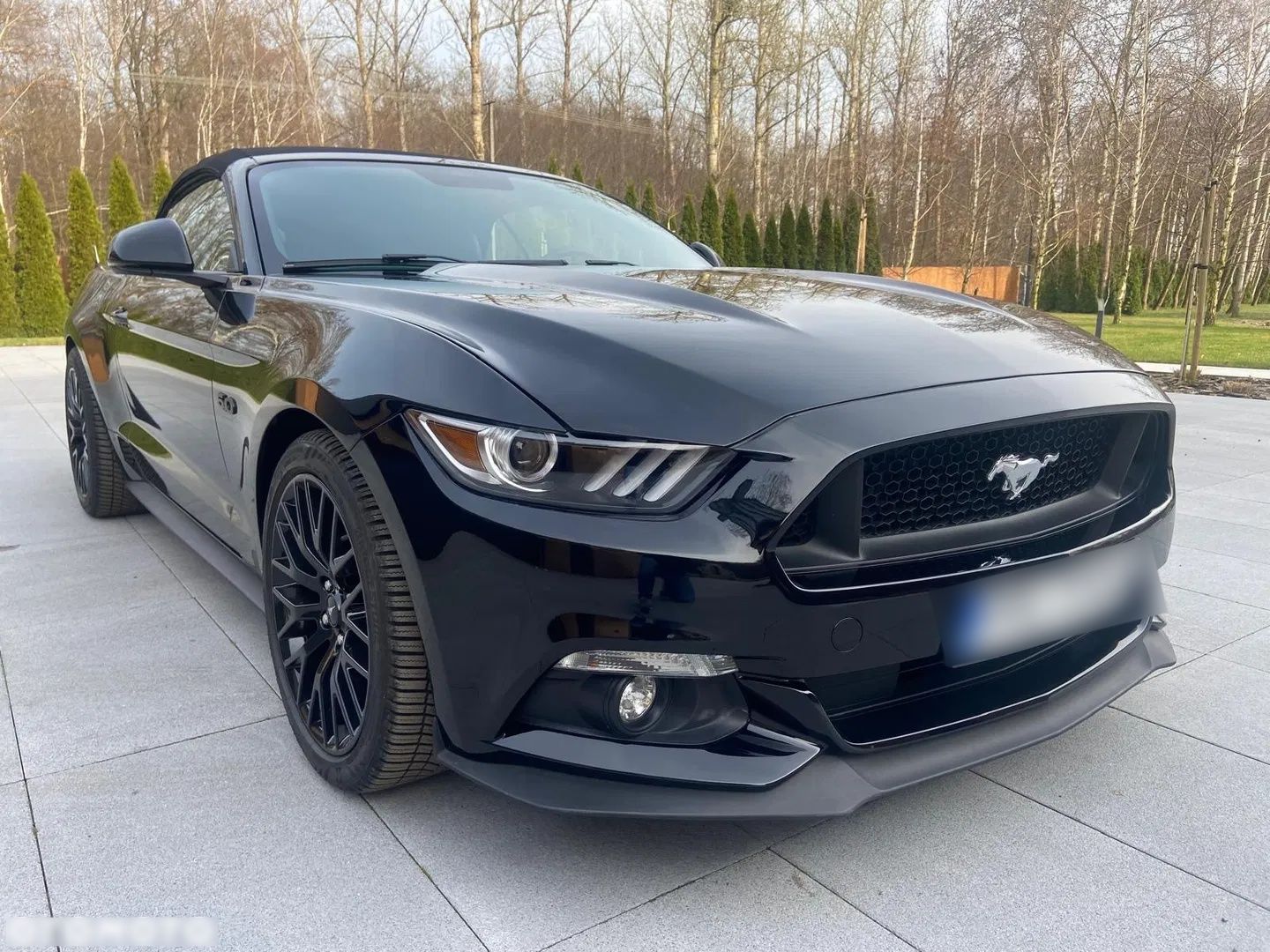 FORD MUSTANG -FULL BLACK  FULL OPTION - Ford Mustang - SYC75