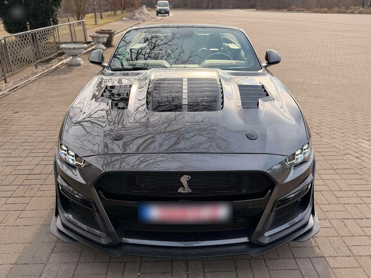 Vue 5