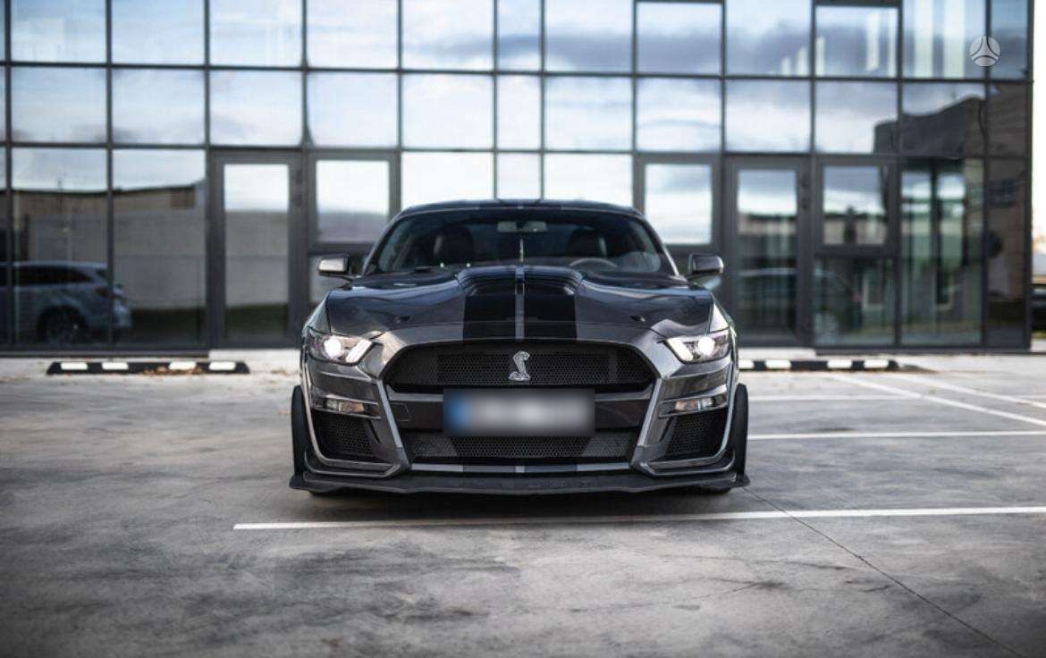 Vue 5