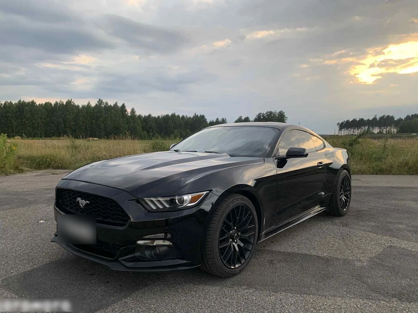 FORD MUSTANG - FULL BLACK - Ford Mustang - SYC75