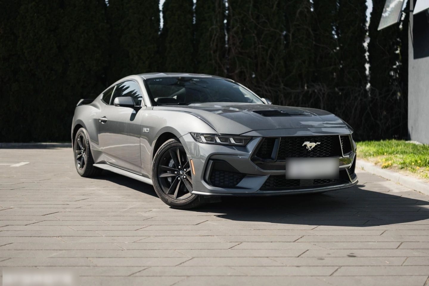 FORD MUSTANG - 446 CH