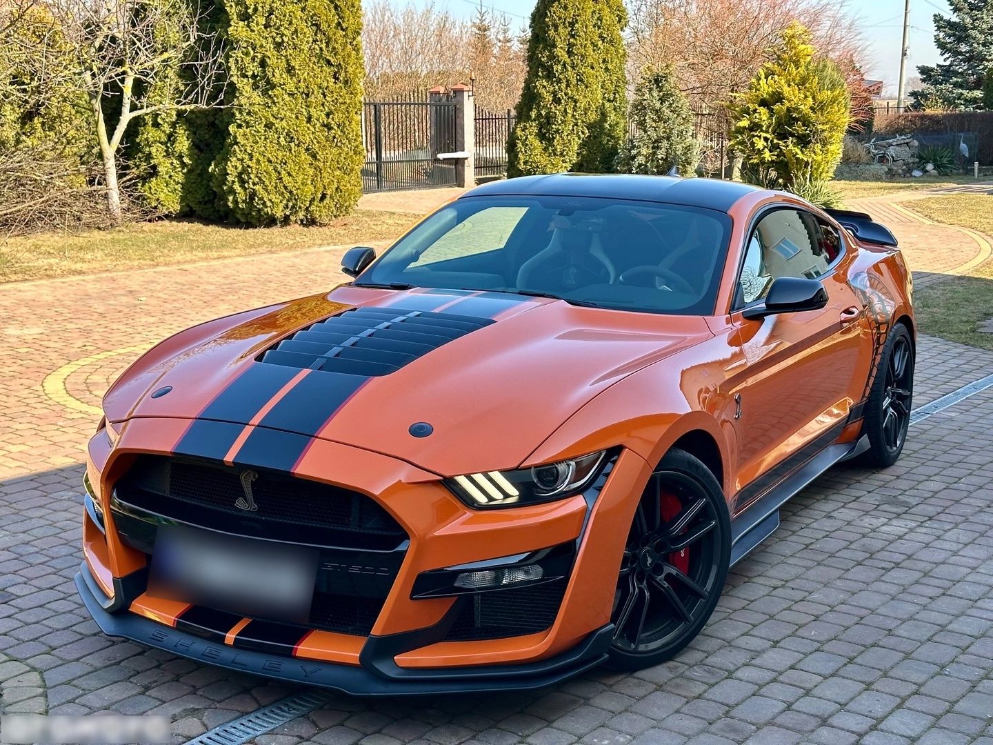 FORD MUSTANG - 771 CH - Ford Mustang - SYC75