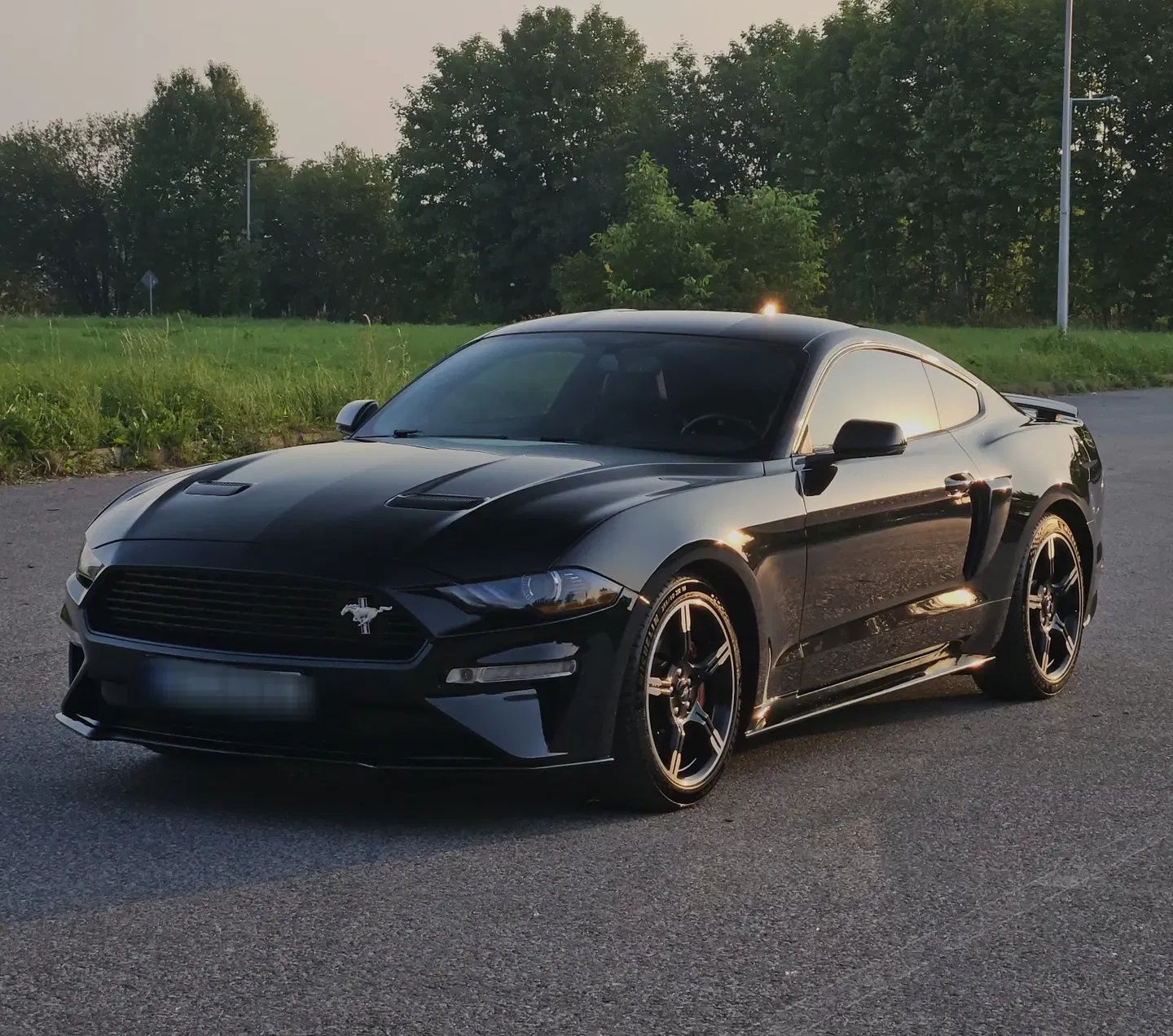 FORD MUSTANG - FULL BLACK - Ford Mustang - SYC75