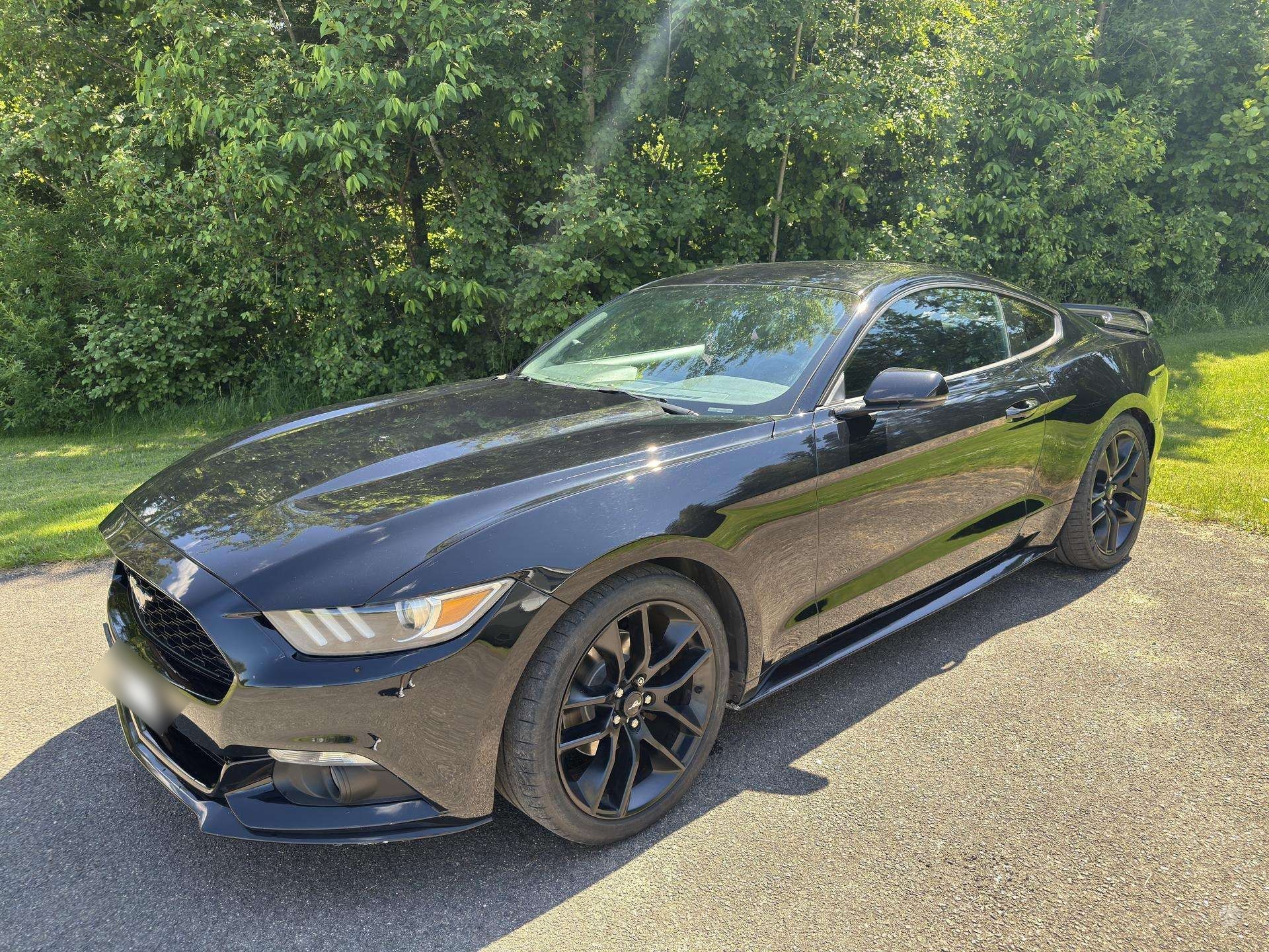 FORD MUSTANG FULL BLACK - 309 CH - Ford Mustang - SYC75
