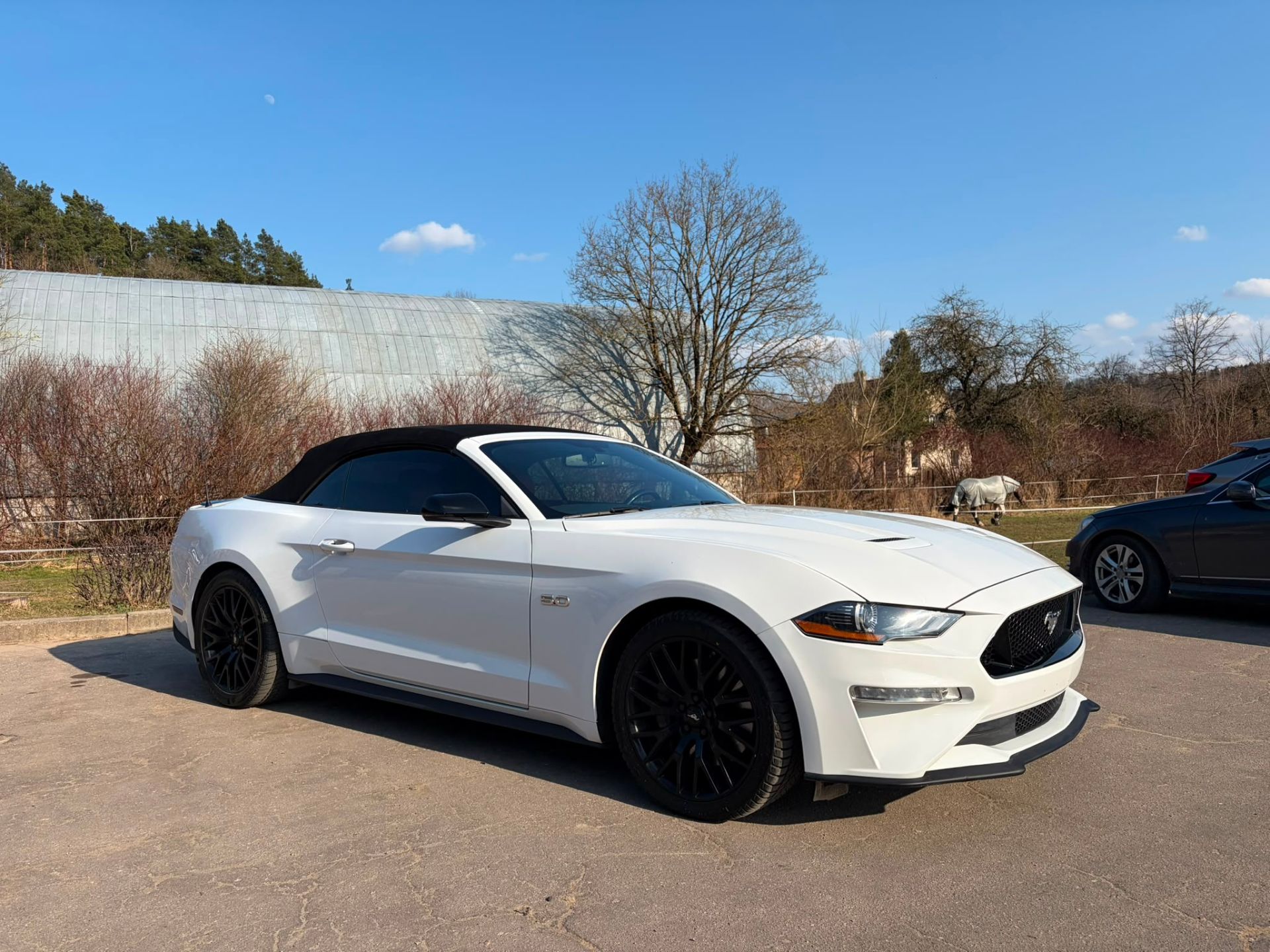 Ford Mustang GT - FULL OPTION - Ford Mustang - SYC75