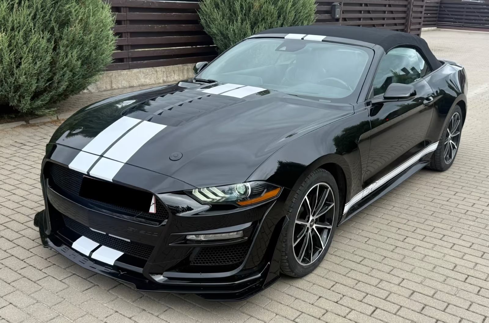 FORD MUSTANG GT 500 FULL BLACK - FULL OPTION - Ford Mustang - SYC75