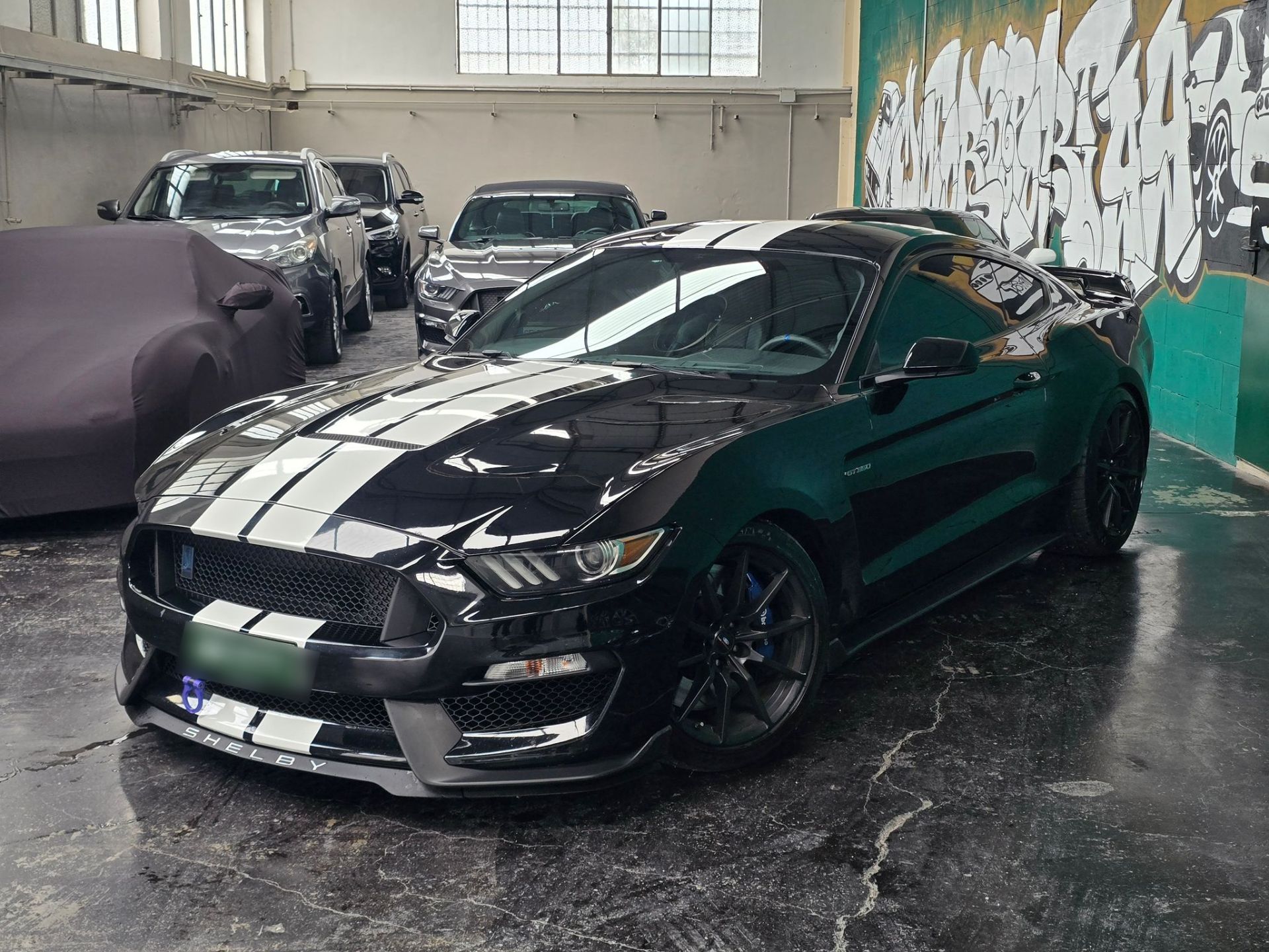 Ford Mustang Shelby GT350 5.2L V8 - Full Black - Ford Mustang - SYC75