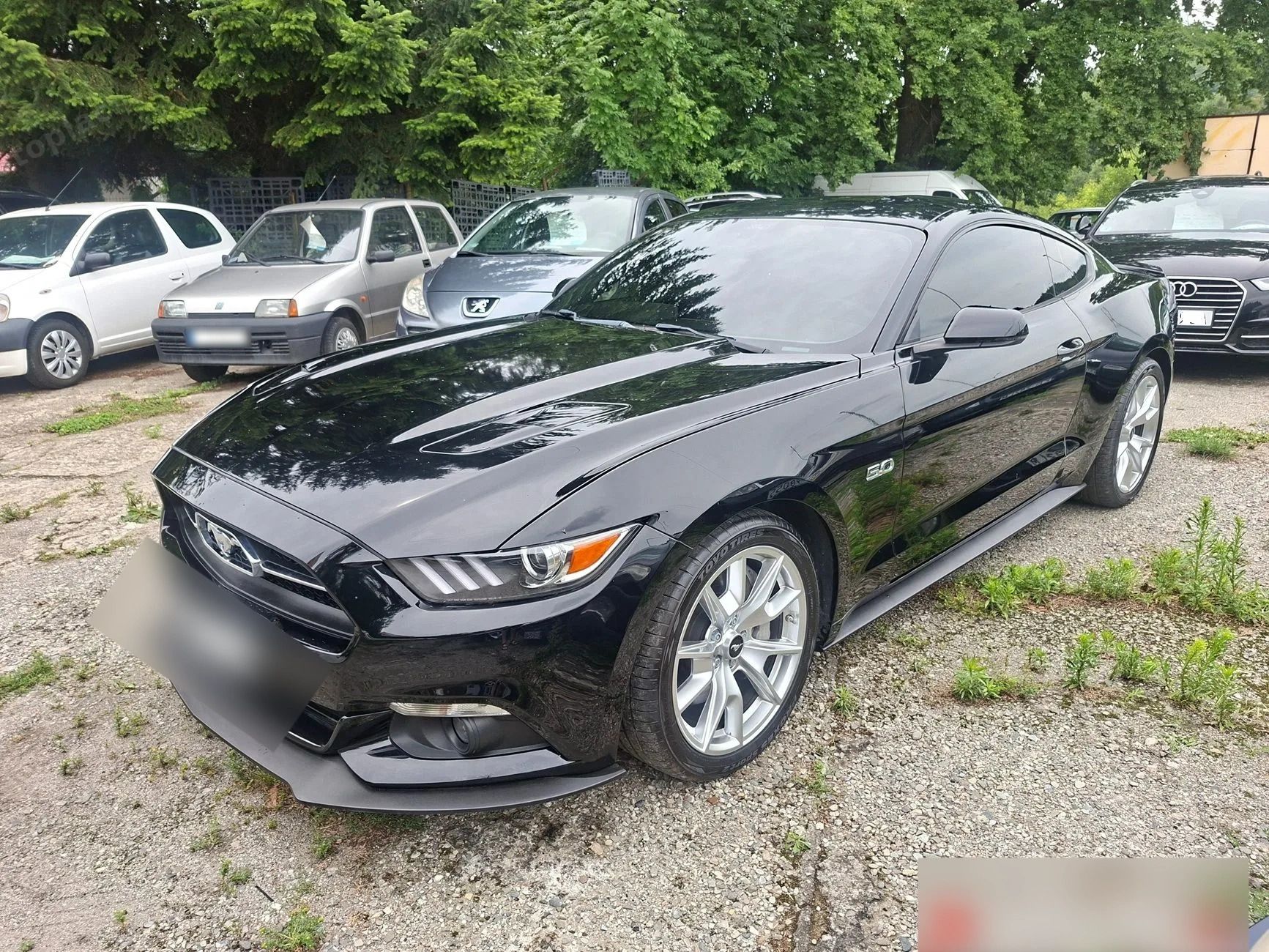 Ford Mustang 5.0 GT Édition 50e anniversaire - FULL BLACK - Ford Mustang - SYC75