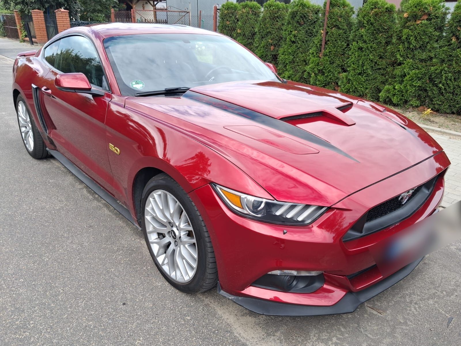 Ford Mustang 5.0 V8 - Ford Mustang - SYC75