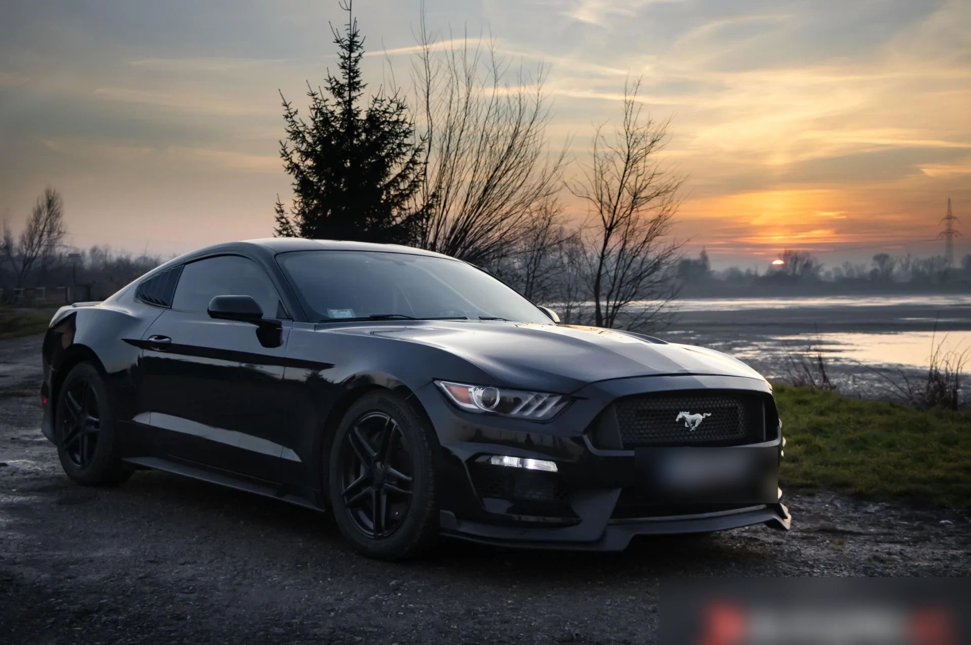 Ford Mustang-FULL BLACK - Ford Mustang - SYC75