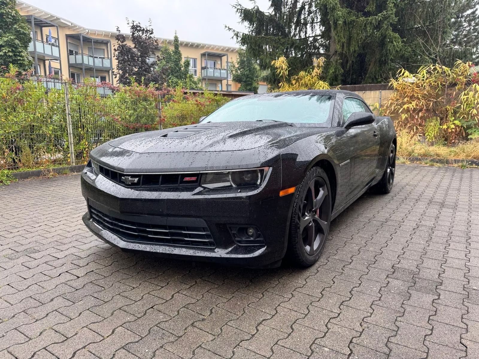 Chevrolet Camaro 6.2 V8- FULL BLACK - Chevrolet Camaro - SYC75