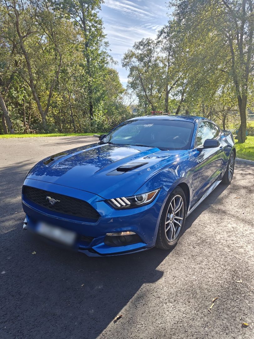 Ford Mustang 2.3 EcoBoost-309 CH - Ford Mustang - SYC75