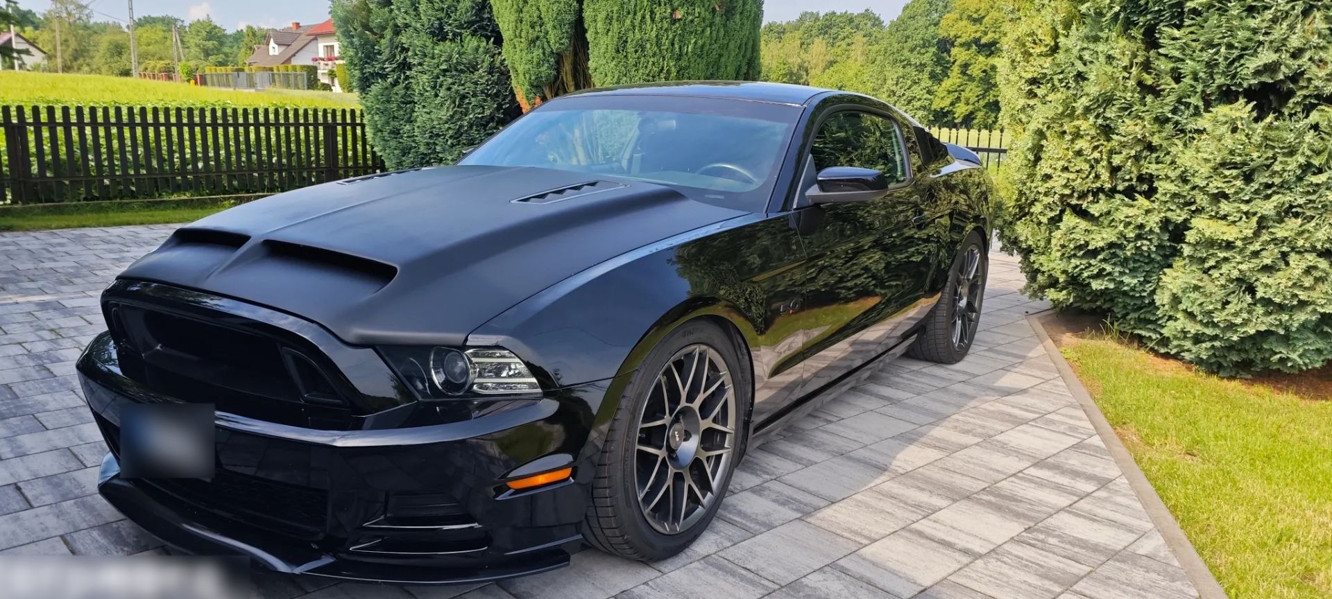 Ford Mustang GT-FULL BLACK - Ford Mustang - SYC75