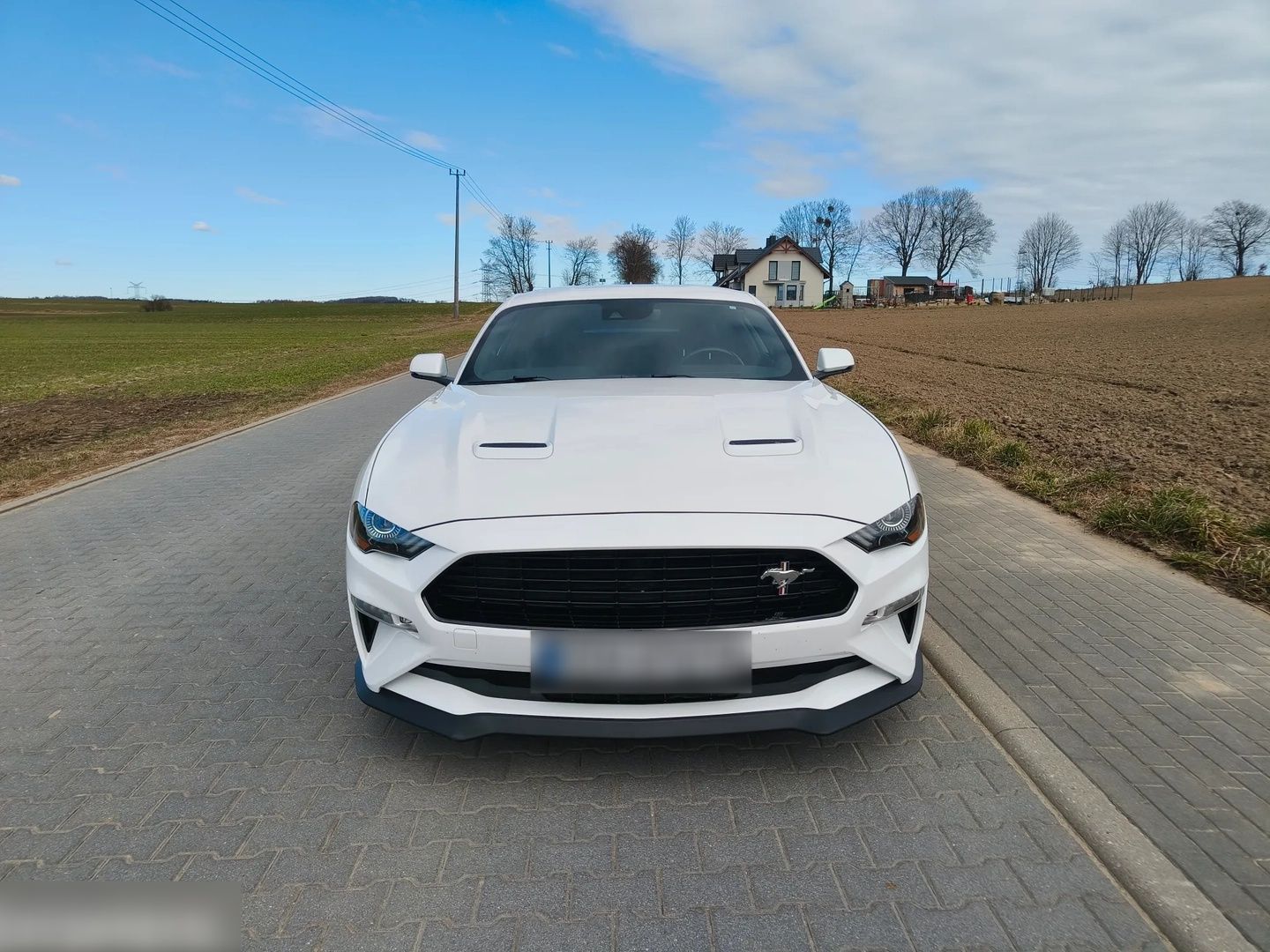 Ford Mustang 5.0 Ti-VCT V8 GT- 448 CH - Ford Mustang - SYC75