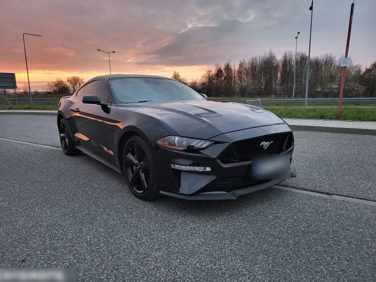 Ford Mustang GT-450ch - Ford Mustang - SYC75